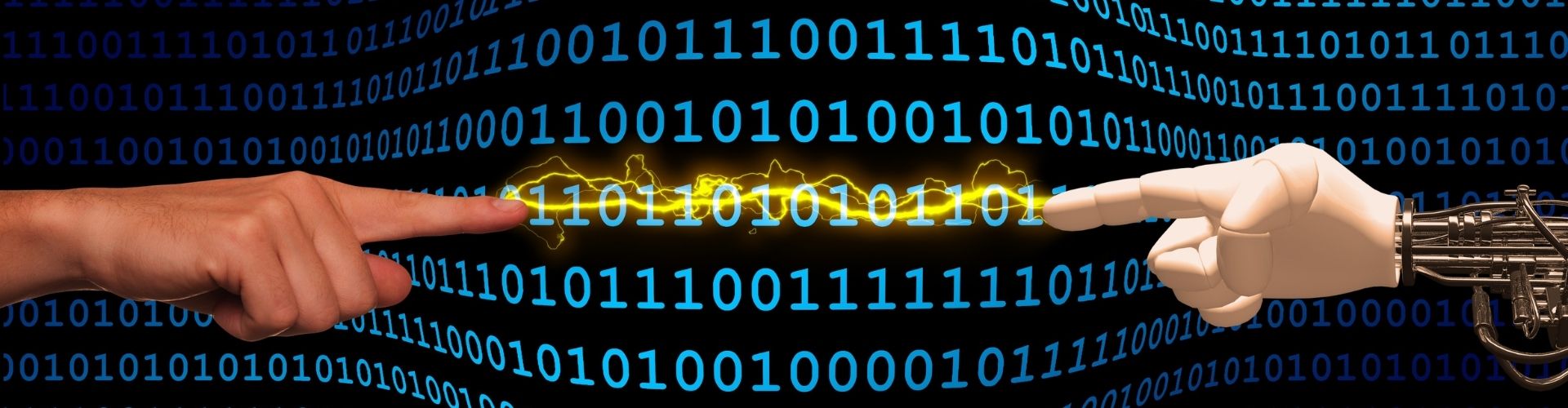 © geralt via canva.com